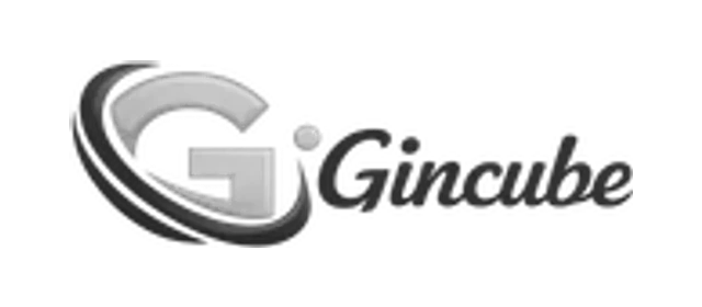 Gincube